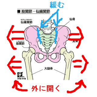 ヒップアップ3.jpg